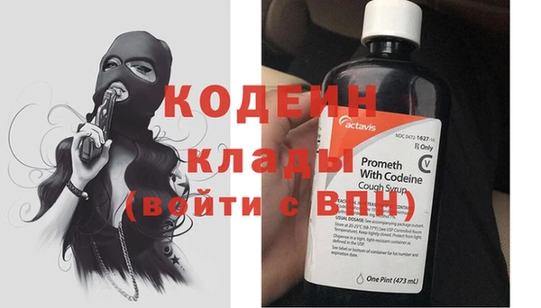 индика Новокубанск