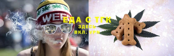 индика Новокубанск