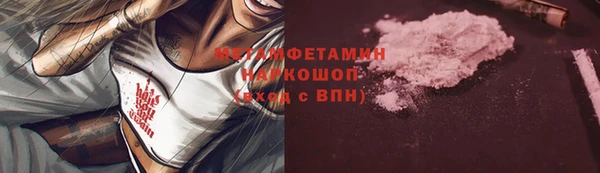 индика Новокубанск
