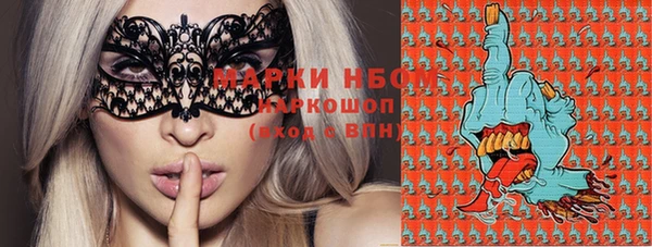 индика Новокубанск