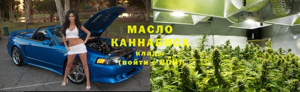 тгк Новодвинск