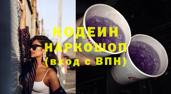 крисы Абаза