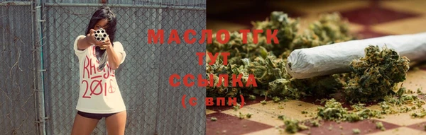 крисы Абаза