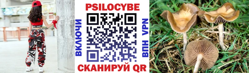 блэк спрут ONION  Урус-Мартан  Псилоцибиновые грибы Psilocybe 